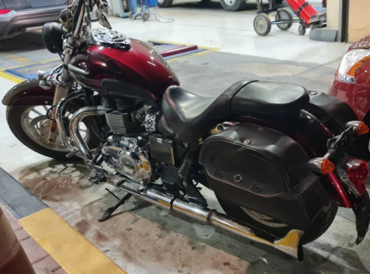 triumph america 2014 for sale