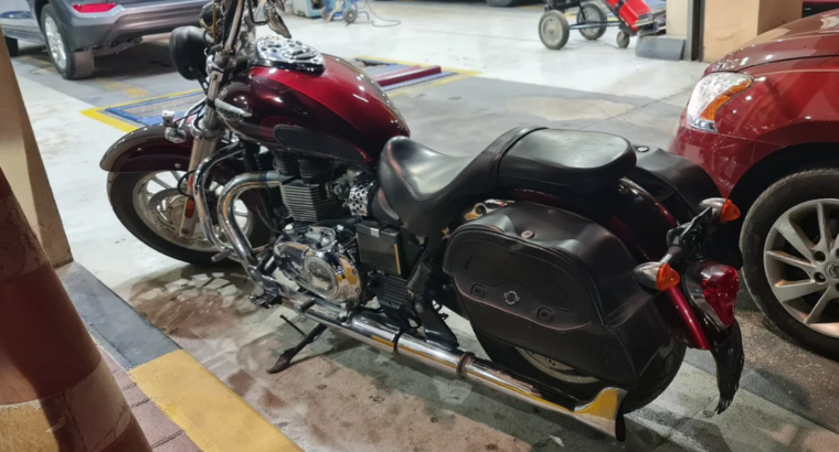 triumph america 2014 for sale