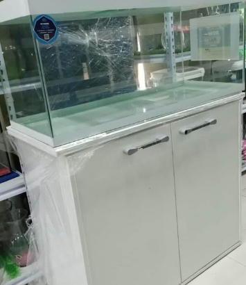 Aquarium 100Cm For Sale