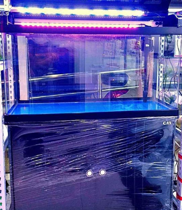 Aquarium 100cm CaY Brand For Sale