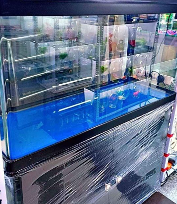 Aquarium 100cm CaY Brand For Sale