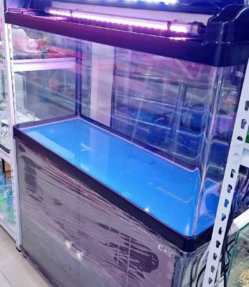 Aquarium 100cm CaY Brand For Sale