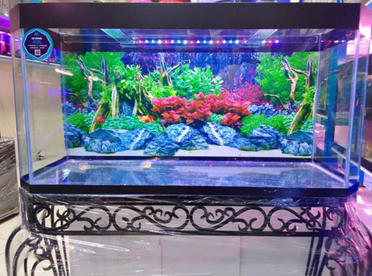 Aquarium 100cm Glass For Sale