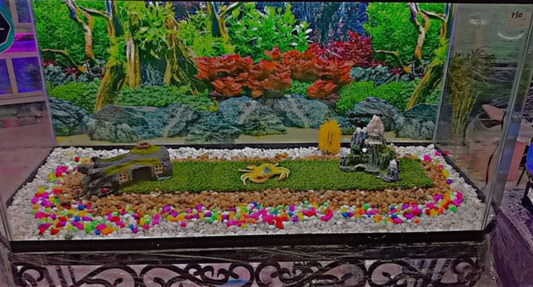 Aquarium 100cm Glass For Sale