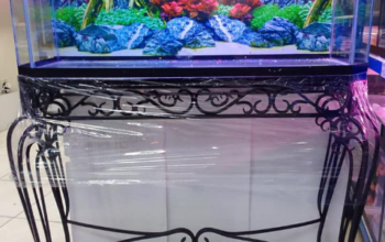 Aquarium 100cm Glass For Sale