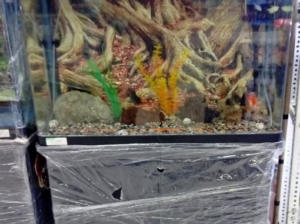 Aquarium 80cm RS-Brand For Sale