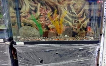 Aquarium 80cm RS-Brand For Sale