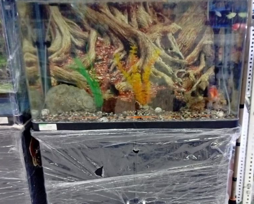 Aquarium 80cm RS-Brand For Sale