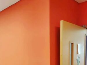 Professional Painting Services