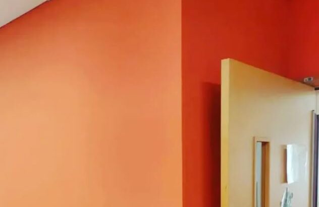 Professional Painting Services