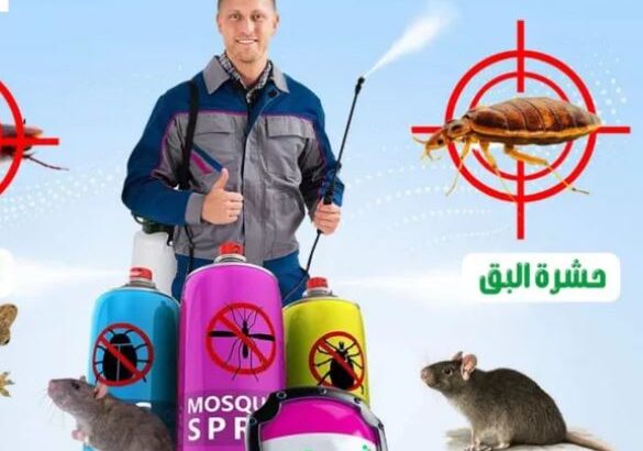 تنظيف وتعقيم الكنب و الكراسي