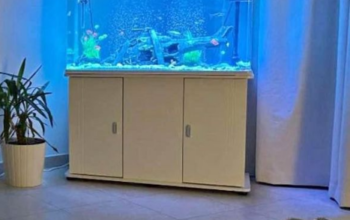 Beautiful Smart Collection Fish Aquarium For Sale