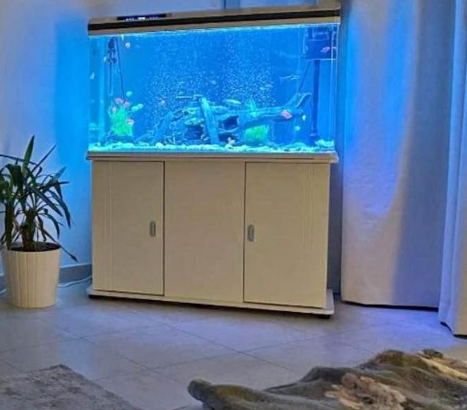 Beautiful Smart Collection Fish Aquarium For Sale