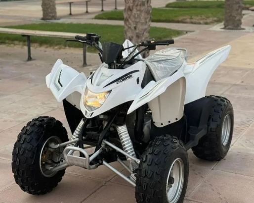 220cc (HI-PERF)cobra 2021 للبيع كوبرا