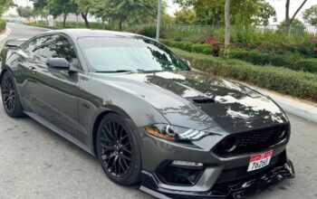 Ford Mustang GT 5.0 performance 2019 usa imported