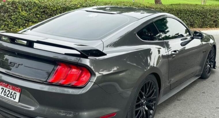 Ford Mustang GT 5.0 performance 2019 usa imported