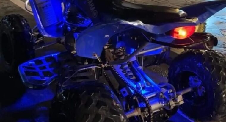 Yamaha Raptor 2012 Special Edition 350 cc for sale