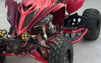 Yamaha Raptor 2019 Special Edition For Sale