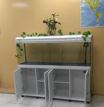 Aquarium 150cm