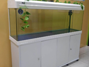 Aquarium 150cm