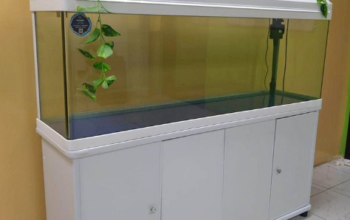 Aquarium 150cm