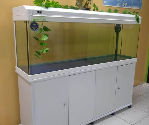 Aquarium 150cm