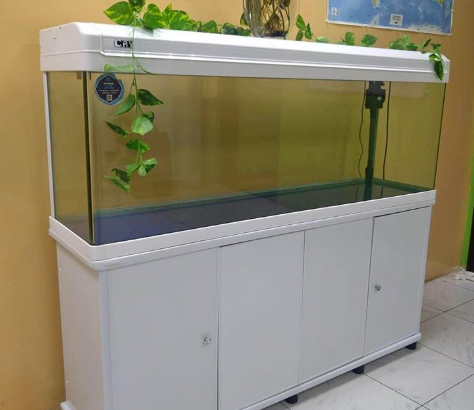 Aquarium 150cm