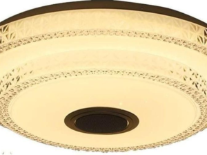 Ceiling Light Round with fan For Sale