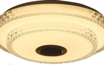 Ceiling Light Round with fan For Sale