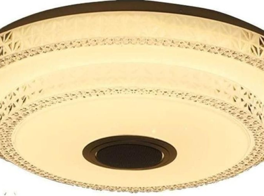 Ceiling Light Round with fan For Sale