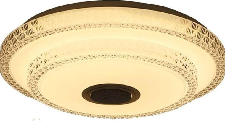Ceiling Light Round with fan For Sale