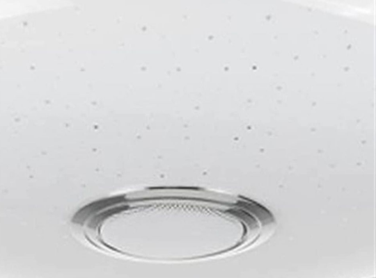 Ceiling Light Round with fan For Sale