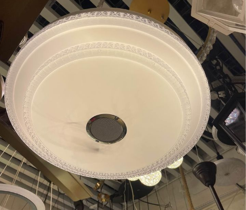 Ceiling Light Round with fan For Sale