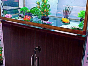 Customized Aquariums For Sale