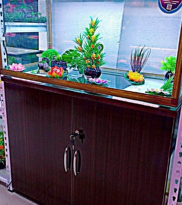 Customized Aquariums For Sale