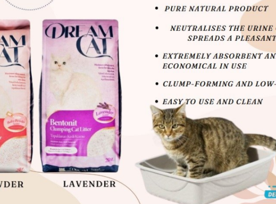 DREAM CAT CLUMPING LITTER FOR SALE