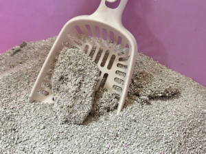 DREAM CAT CLUMPING LITTER FOR SALE