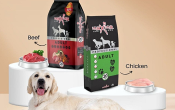 MAXIMA ADULT DRY DOG FOODS FOR SALE