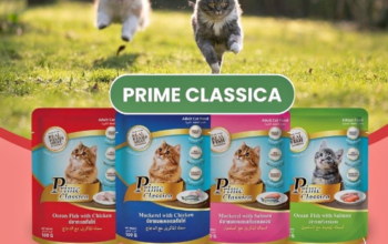 PRIME CLASSICA POUCH WET FOOD FOR CATS AND KITTENS