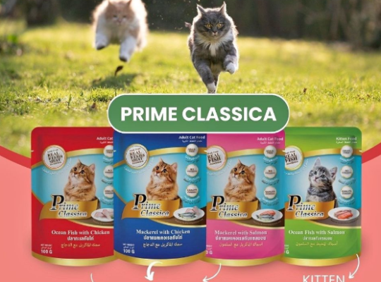 PRIME CLASSICA POUCH WET FOOD FOR CATS AND KITTENS