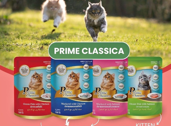 PRIME CLASSICA POUCH WET FOOD FOR CATS AND KITTENS