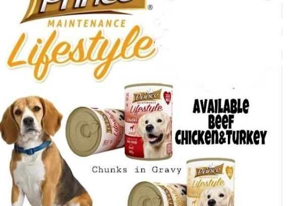 PRINCE MAINTENANCE LIFESTYLE DOG WET FOODS FOR SAL