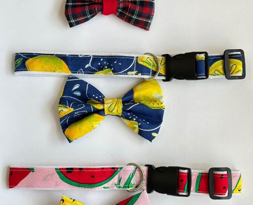 Personalized Pet Accessories For Sale