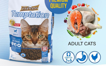 PRINCESS TEMPTATION CAT DRY FOODS-chicken flavor f