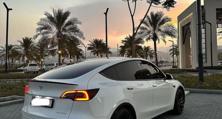 Tesla model Y performance 2023 Gcc