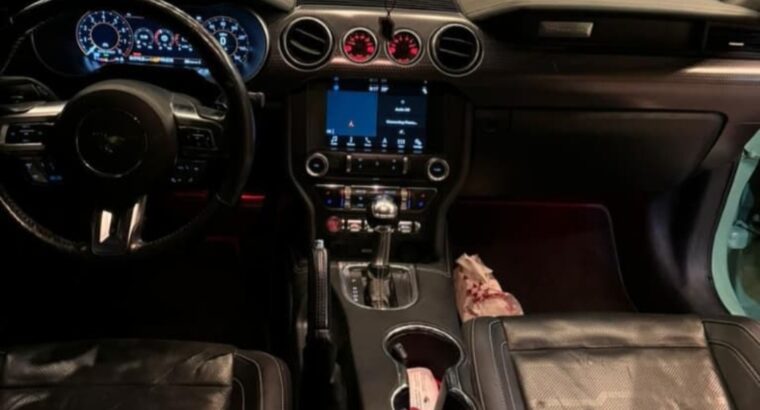 Ford Mustang 5.0 full option 2028 USA imported