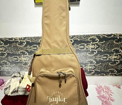 Guitar Taylor 110CE For Sale