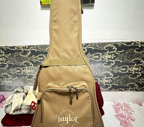 Guitar Taylor 110CE For Sale