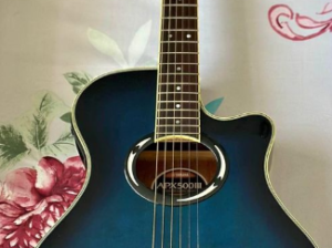 Electric acoustic guitar APX500III for sale