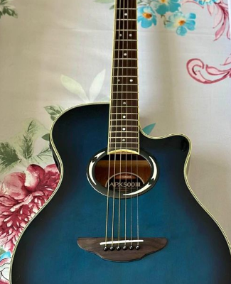 Electric acoustic guitar APX500III for sale